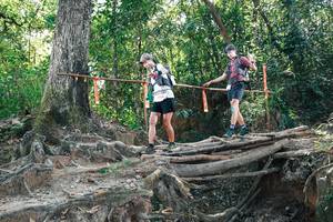 BIB: 
                            <button type="button" onclick="openModal(27744474)" class="btn btn-primary btn-sm float-right btn-popup" data-toggle="modal" data-target=".modal-high-quality">
                        <i class="fas fa-shopping-cart"></i> Add to Cart
                    </button>
                                            <button type="button" onclick="isThisMe(27744474, true)" class="btn btn-success btn-sm float-right btn-popup btn-isme hidden" data-toggle="tooltip" data-placement="bottom" title="นี่คือรูปของคุณใช่ไหม คลิกที่นี่เพื่อเอาเข้าอัลบั้ม">
                        <i class="fas fa-plus"></i> Add to album
                    </button>
                    <button type="button" onclick="isThisMe(27744474, false)" class="btn btn-warning btn-sm float-right btn-popup btn-isnotme hidden">
                        <i class="fas fa-ban"></i> Remove from album
                    </button>